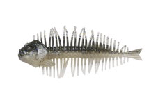 GEELACANTH 4.0inch - DSTYLE