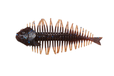 GEELACANTH 4.0inch - DSTYLE