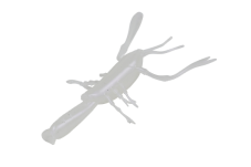 EBISON MOMMY 4.1inch - DSTYLE