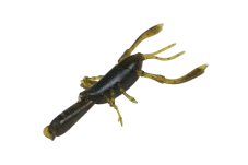 EBISON MOMMY 4.1inch - DSTYLE