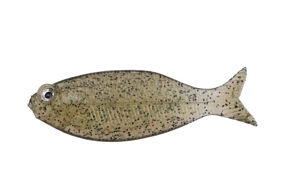 GILLUULA 2.5inch - DSTYLE