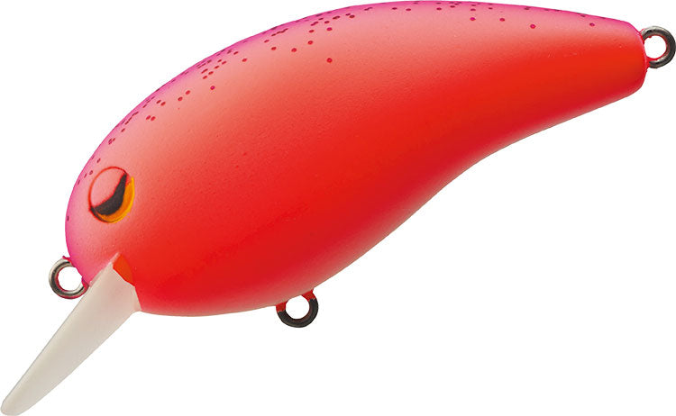 DEKA PEANUT II - DAIWA