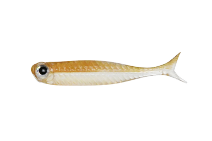 VIROLA MICRO 1.5inch - DSTYLE