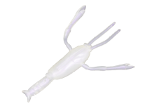 EBISON 3.0inch - DSTYLE