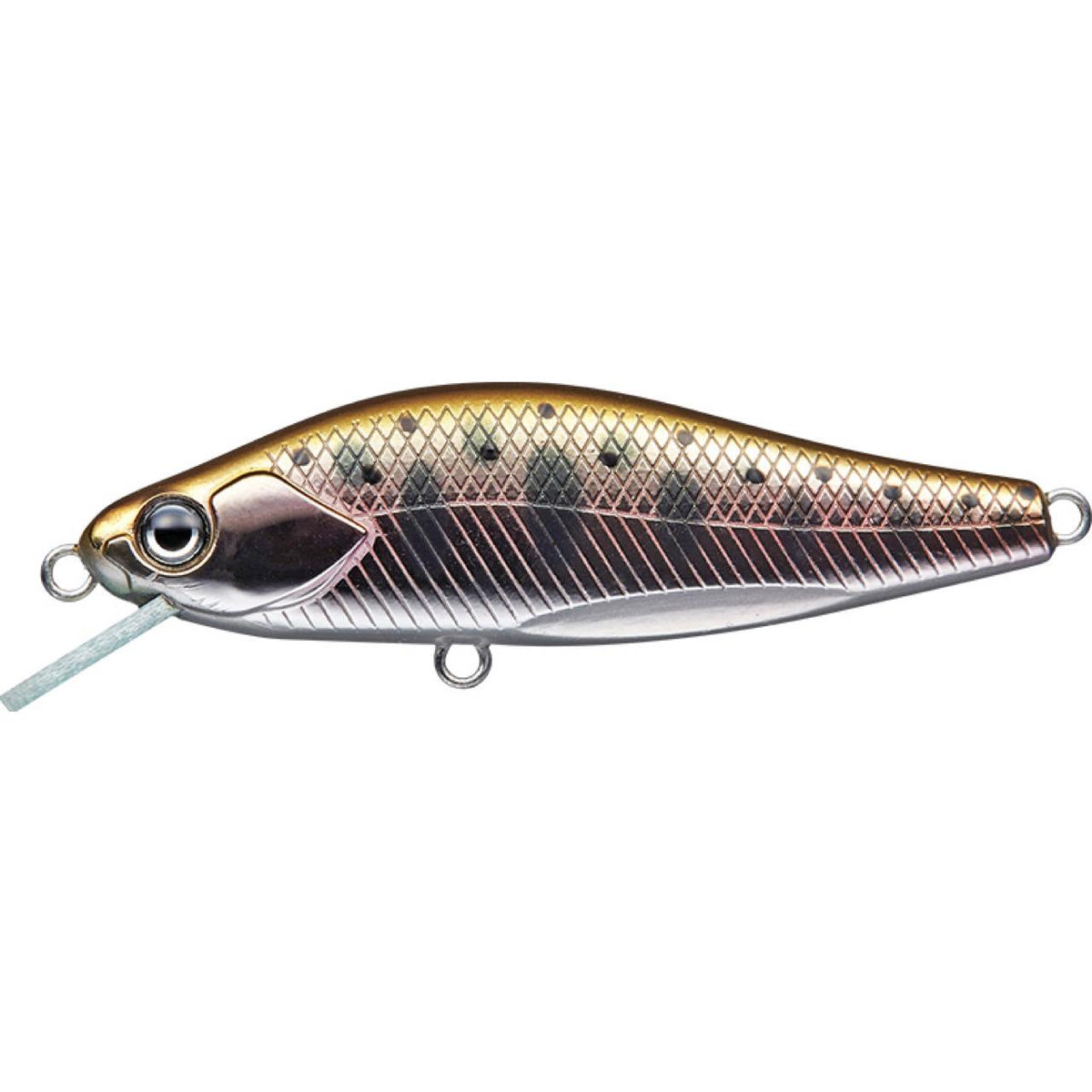 Artisan Nelmezzo 50FS - EVERGREEN