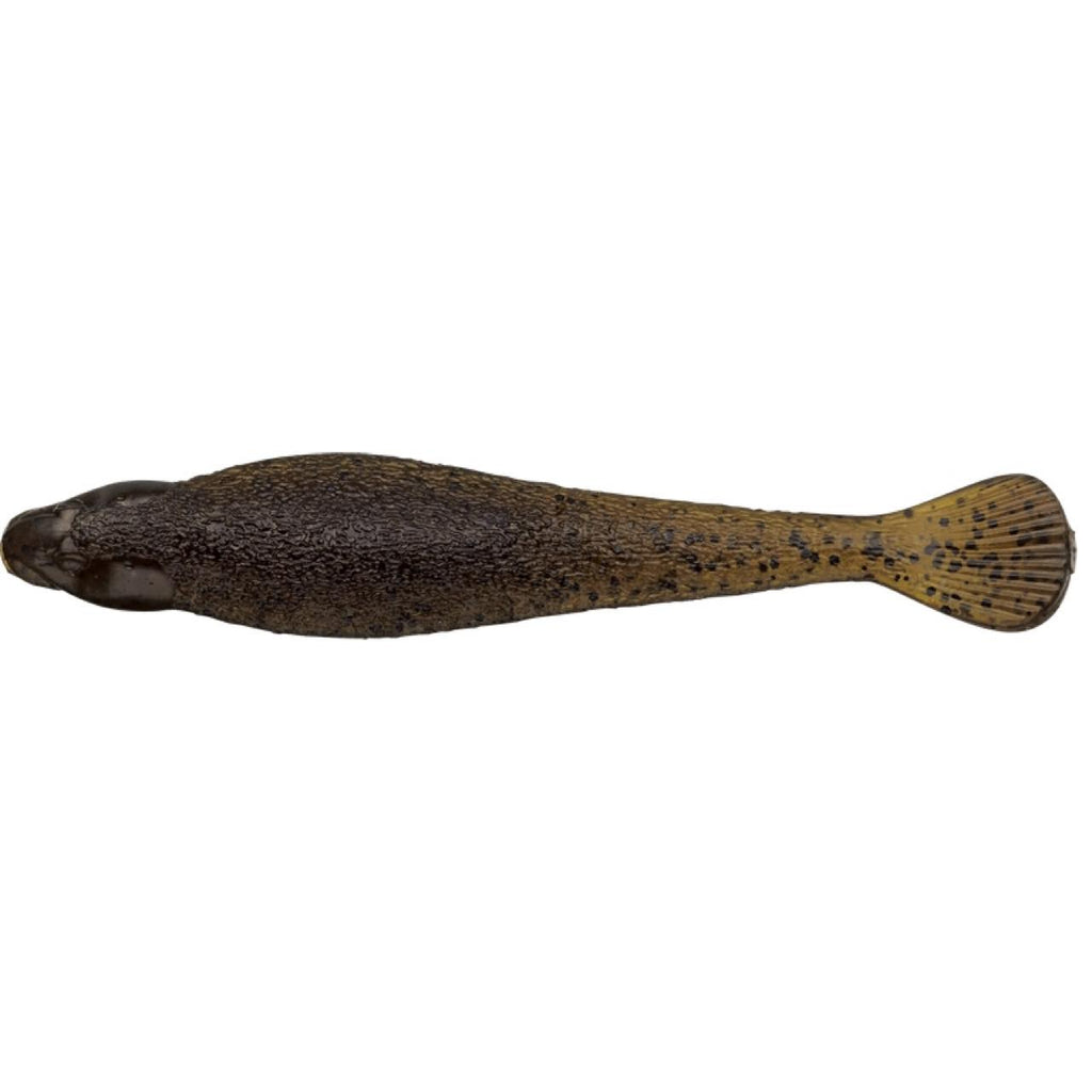 FACT Sculpin - EVERGREEN