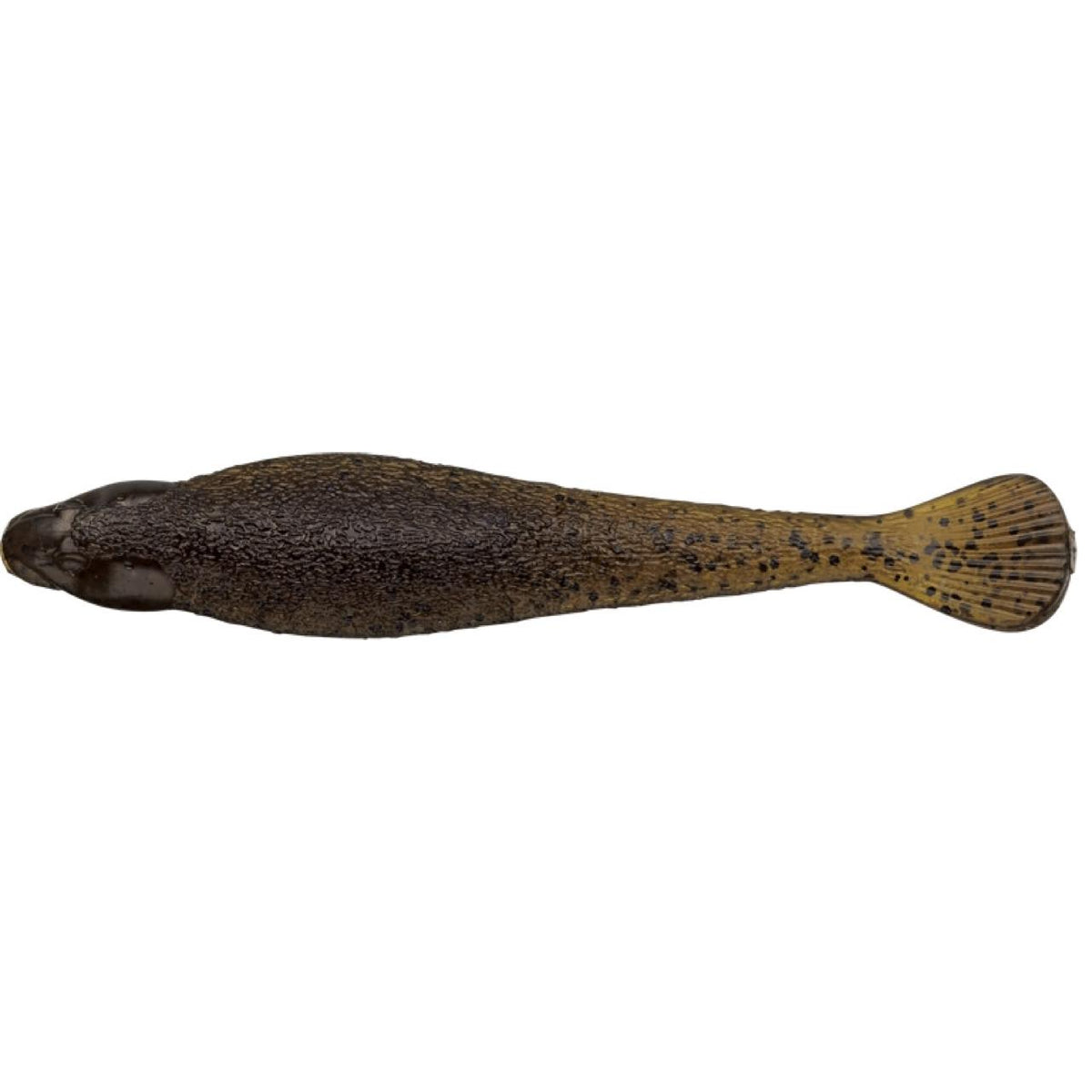 FACT Sculpin - EVERGREEN