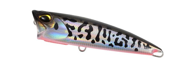 REALIS FANG POP - DUO