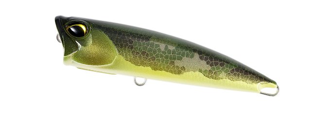 REALIS FANG POP - DUO