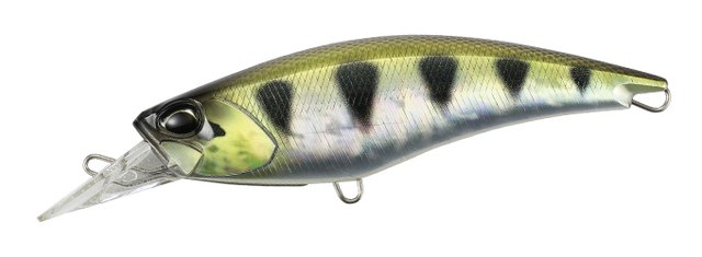 REALIS FANG SHAD 140SR - DUO