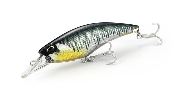 REALIS FANG SHAD 140SR - DUO
