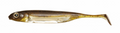 Flash-J Shad 3inch - Fish Arrow