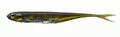 Flash-J Split 4inch - Fish Arrow