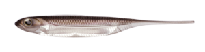 Flash-J 4inch - Fish Arrow