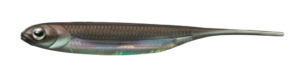 Flash-J 2inch - Fish Arrow