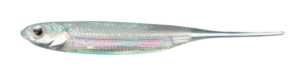 Flash-J 3inch - Fish Arrow