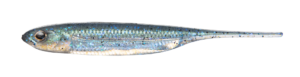 Flash-J 3inch - Fish Arrow