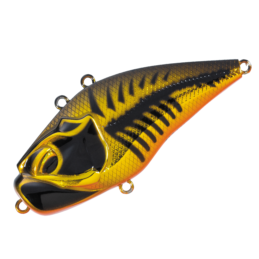 GIGANOTO TG Rattle - Valleyhill