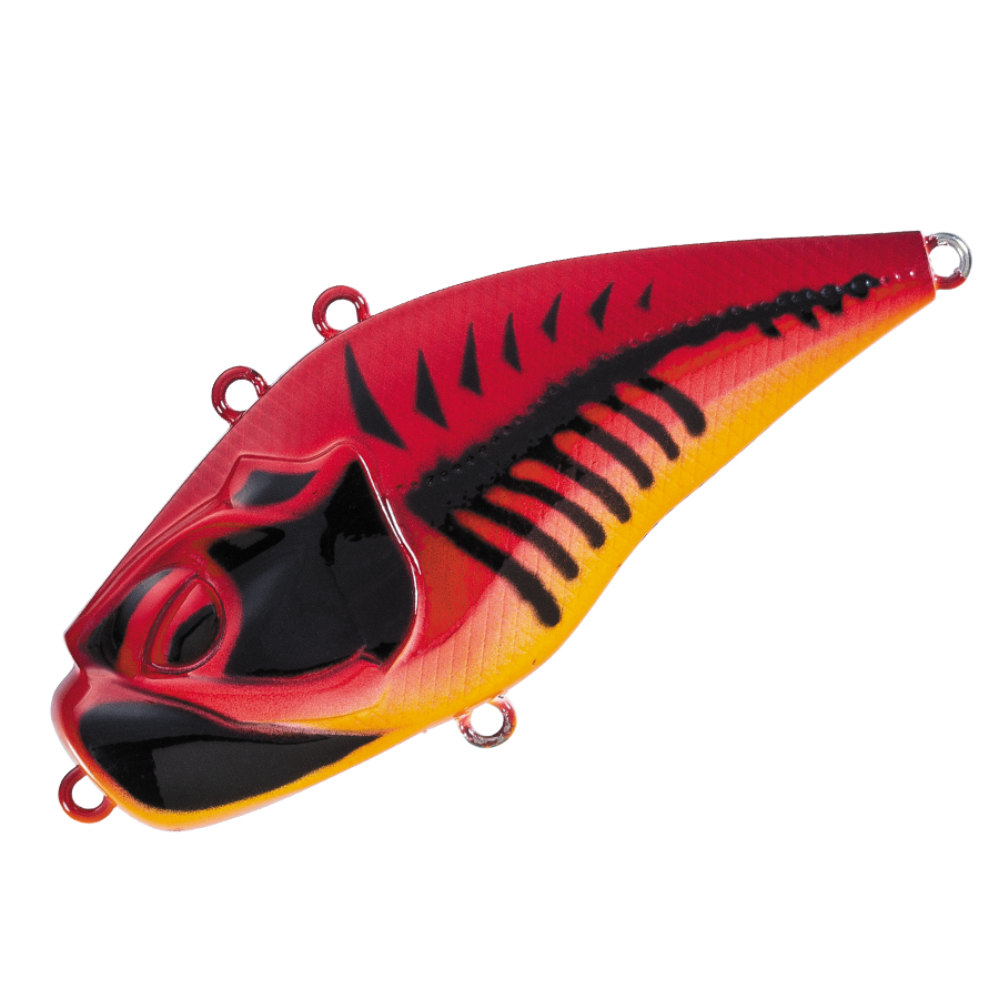 GIGANOTO TG Rattle - Valleyhill