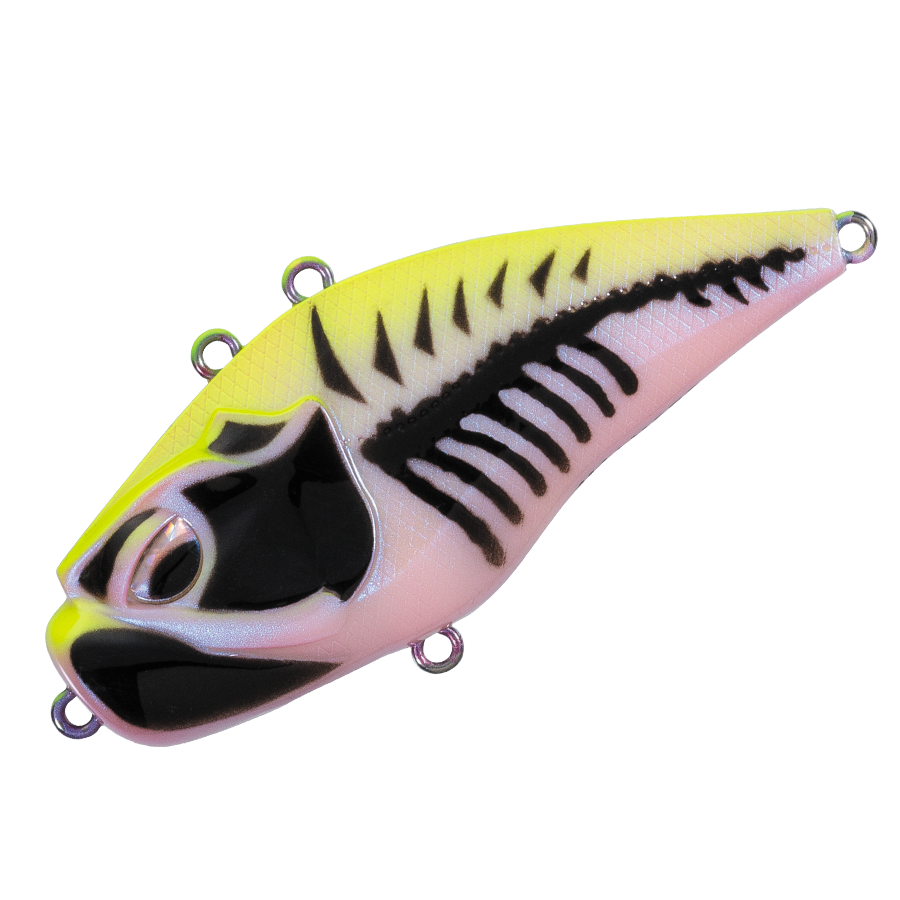 GIGANOTO TG Rattle - Valleyhill