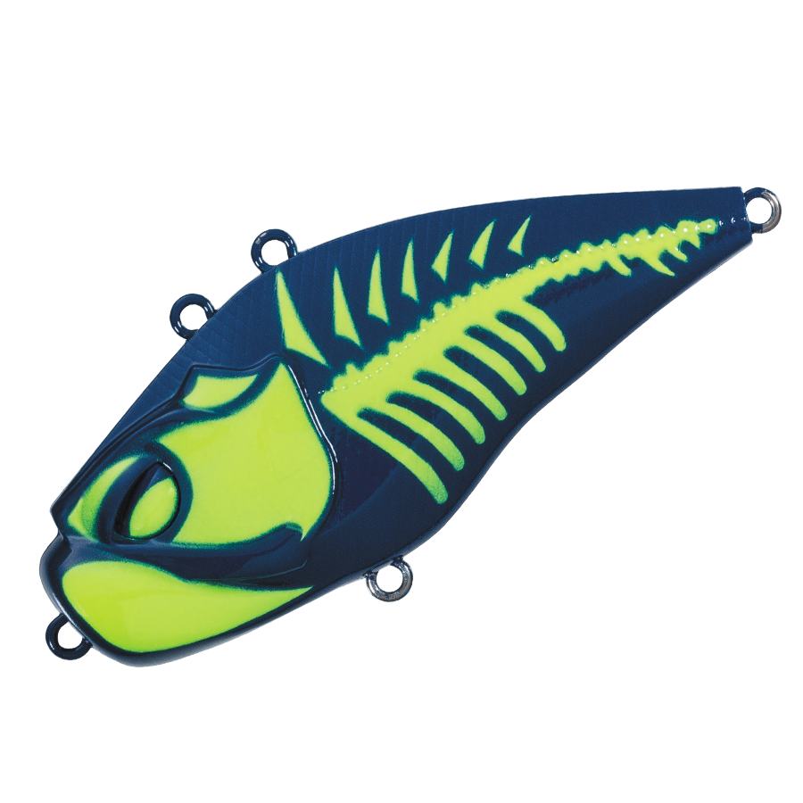 GIGANOTO TG Rattle - Valleyhill