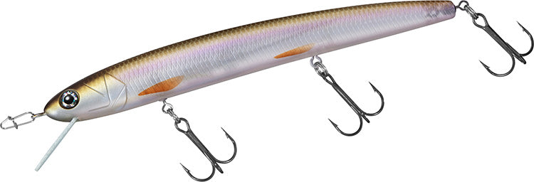 HMKL MINNOW - STEEZ CUSTOM - - DAIWA