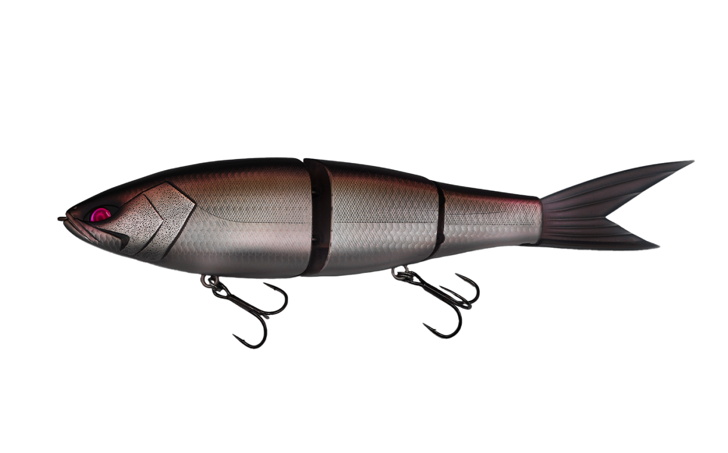 Grace 280 - Galápagos