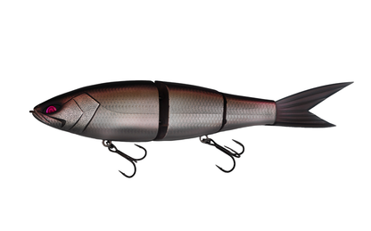 Grace 280 - Galápagos