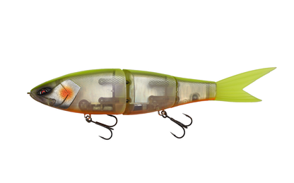 Grace 280 - Galápagos