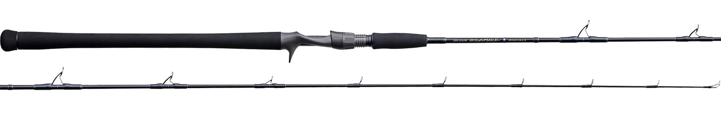 JIG-ZAM WILD MARK - TENRYU