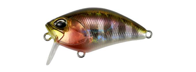 REALIS CRANK KABUKI - DUO