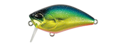 REALIS CRANK KABUKI - DUO