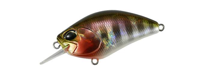 REALIS 55SR KABUKI - DUO