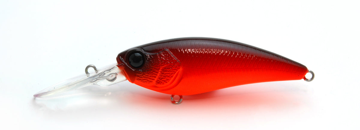 LEVEL SHAD - RAID JAPAN