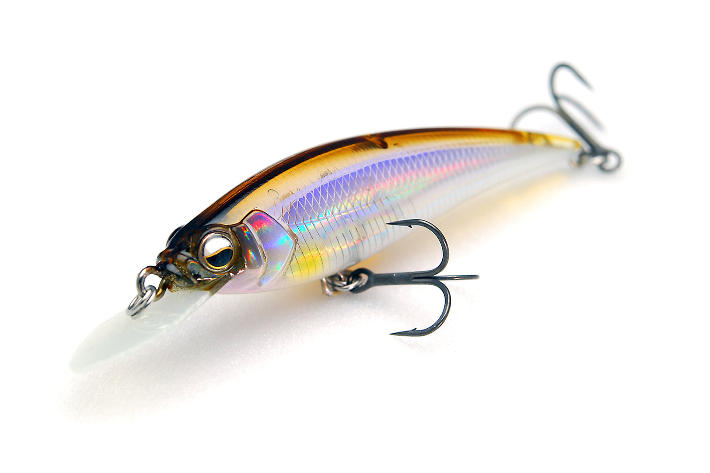 LEVEL SHAD Sprinter - RAID JAPAN