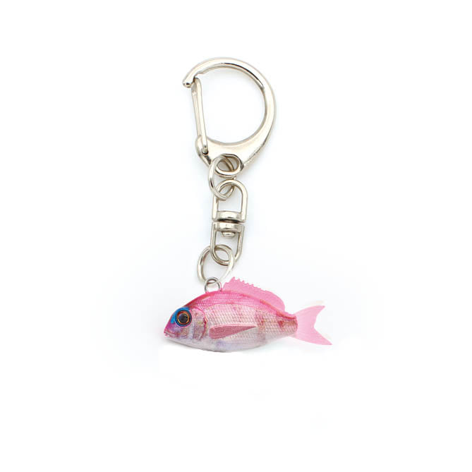 Micro Charikom Keychain - LITTLE JACK