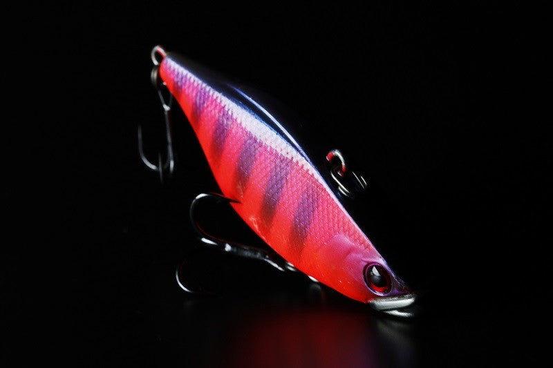 TNskull shell maruhata - JACKALL