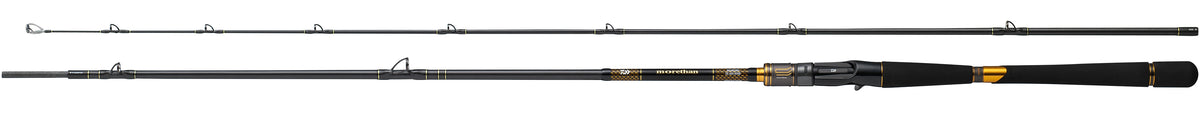 MORETHAN BRANZINO EX AGS Baitcasting - DAIWA