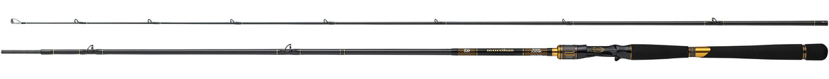 MORETHAN BRANZINO EX AGS Baitcasting - DAIWA