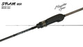 SRAM MSR d-spec - TICT