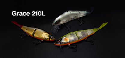 Grace 210L - Galápagos