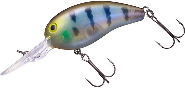 PEANUT - DAIWA