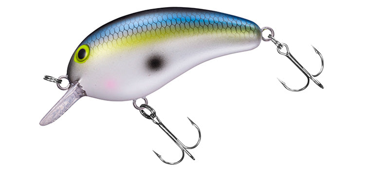 PEANUT - DAIWA