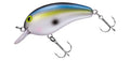 PEANUT - DAIWA