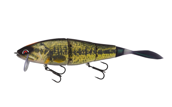 Grace 210L - Galápagos