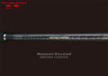 RunnerExceed LIMITED - Ripple Fisher