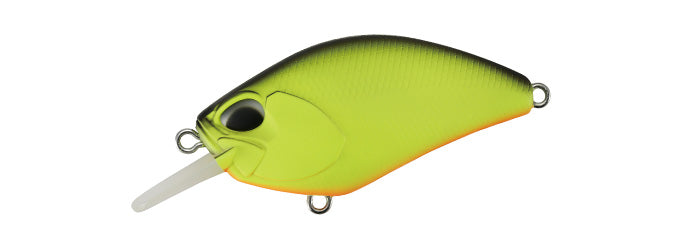 REALIS 55SR KABUKI - DUO