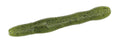 REALIS WRIGGLE STICK - DUO