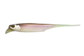 RV-DRIFTFRY - JACKALL