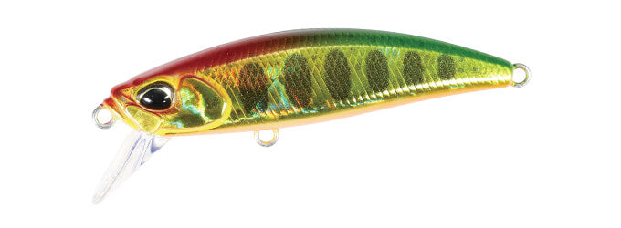 SPEARHEAD RYUKI 51 - DUO